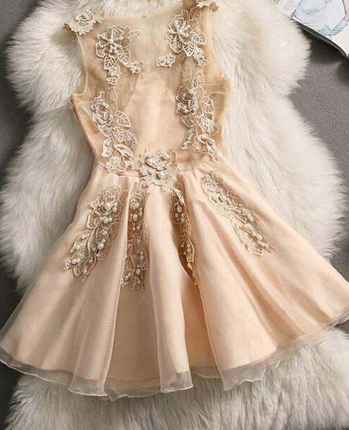Cute Homecoming Dresses,a Line Homecoming Dress,champagne Homecoming Dresses,appliques Homecoming Dress,short Homecoming Dresses Ds457