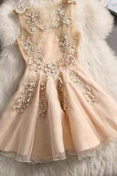 Cute Homecoming Dresses,A Line Homecoming Dress,Champagne Homecoming Dresses,Appliques Homecoming Dress,Short Homecoming Dresses DS457